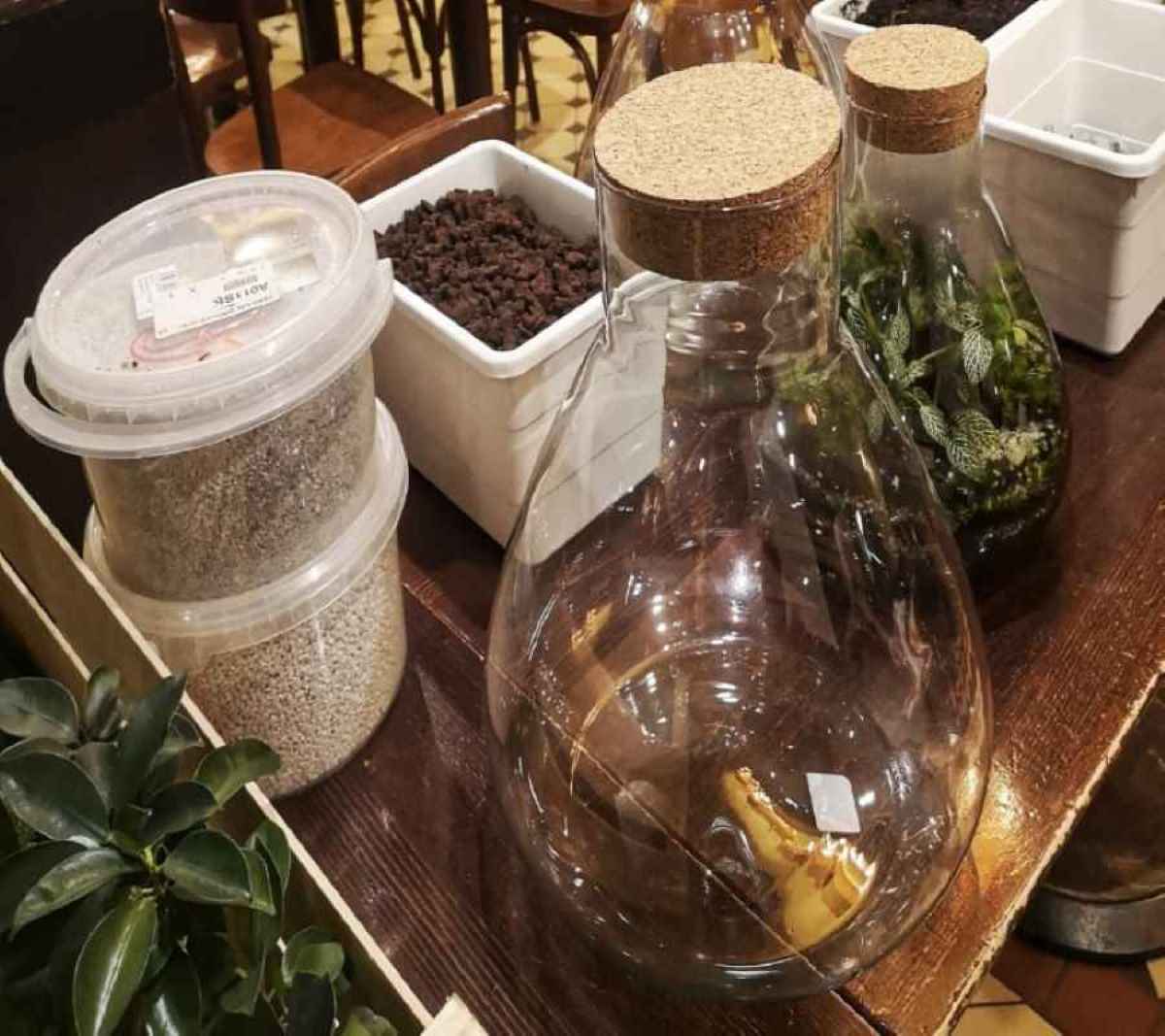  Atelier terrarium Paris et Île de France - 15ème ou 18ème