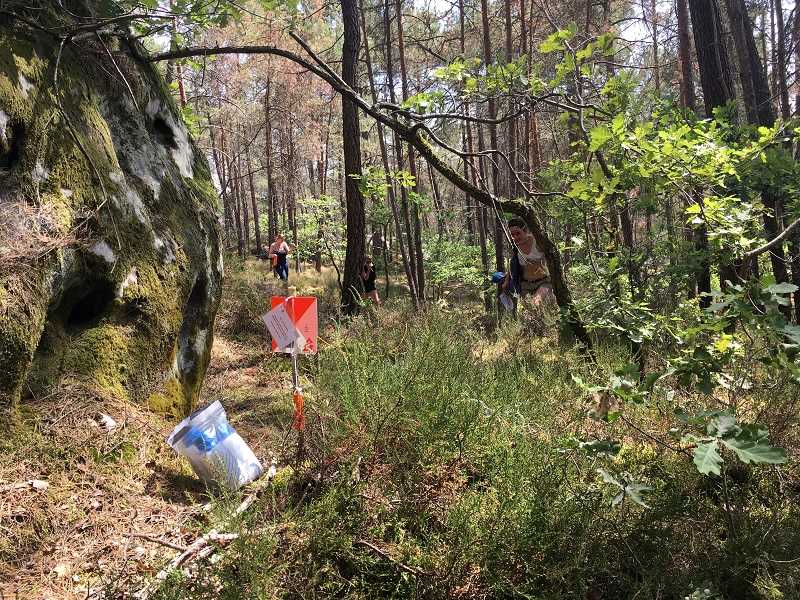 Team building - Survie en groupe ou autour de l'environnement à Fontainebleau
