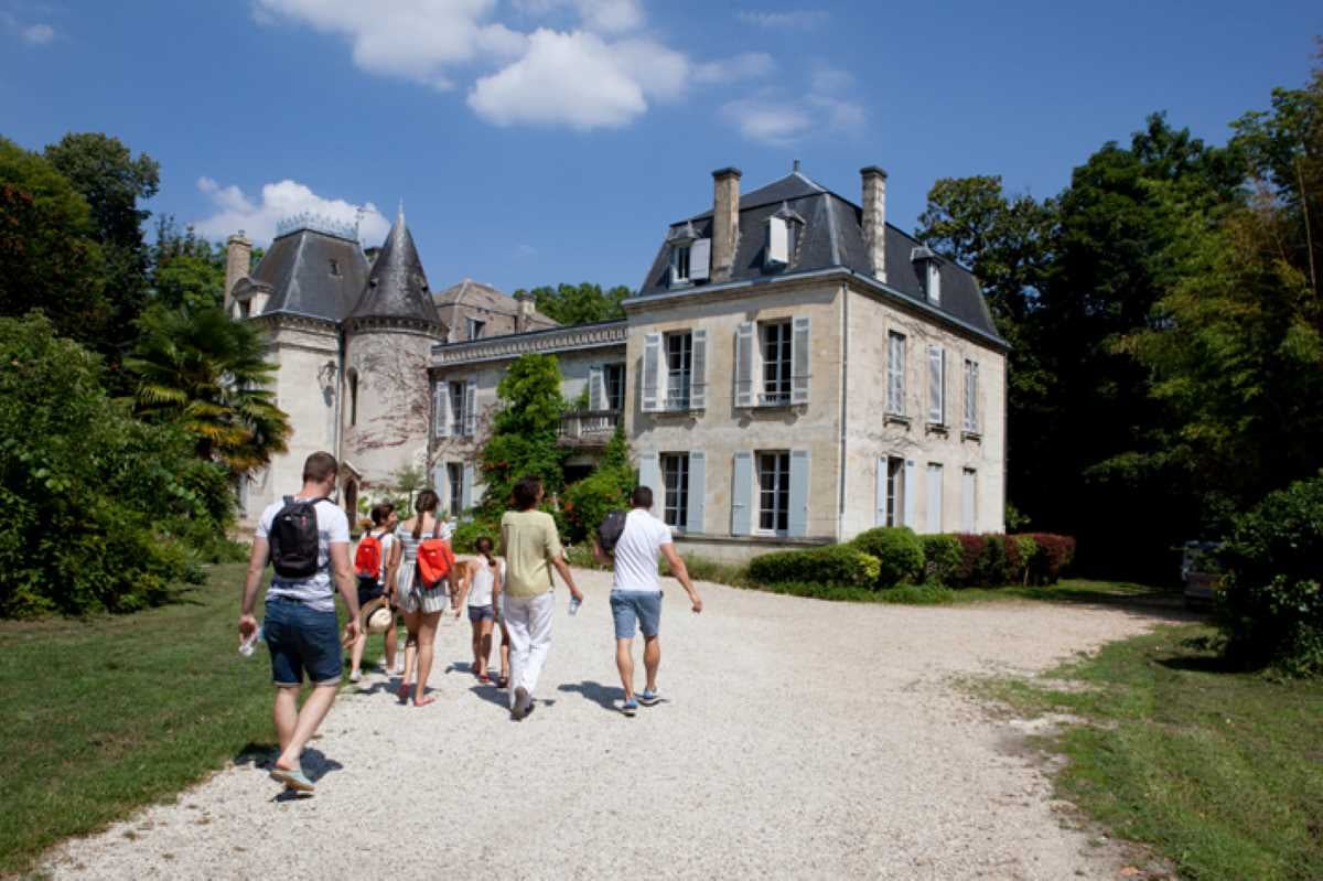 Course d'orientation et dégustation en AOC Pessac-Léognan