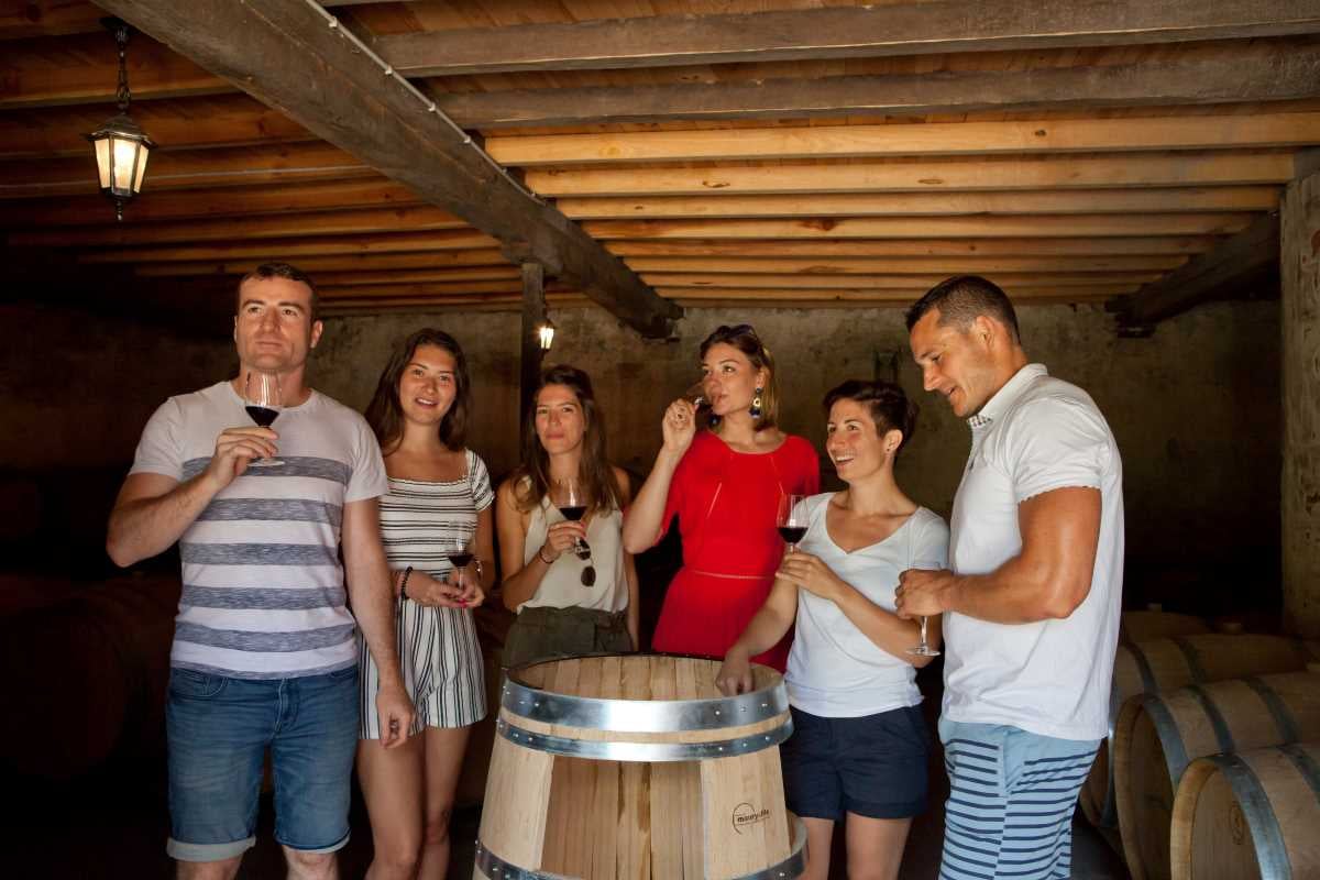 Course d'orientation et dégustation en AOC Pessac-Léognan
