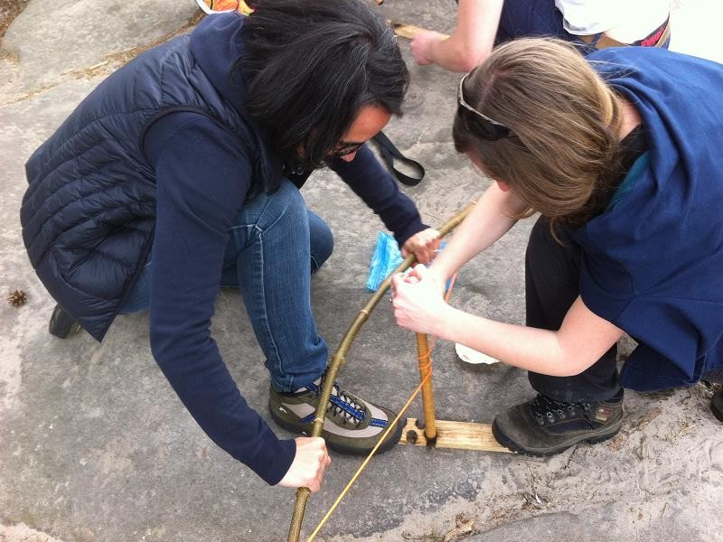 Team building - Survie en groupe ou autour de l'environnement à Fontainebleau