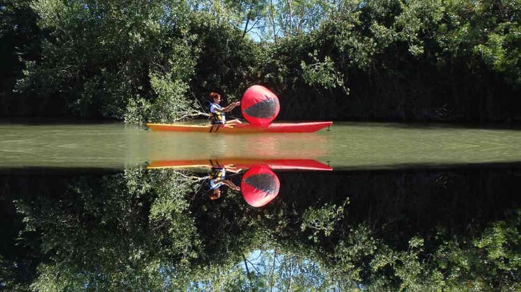 Balade en Kayak à l'embouchure du Rhône - Arles