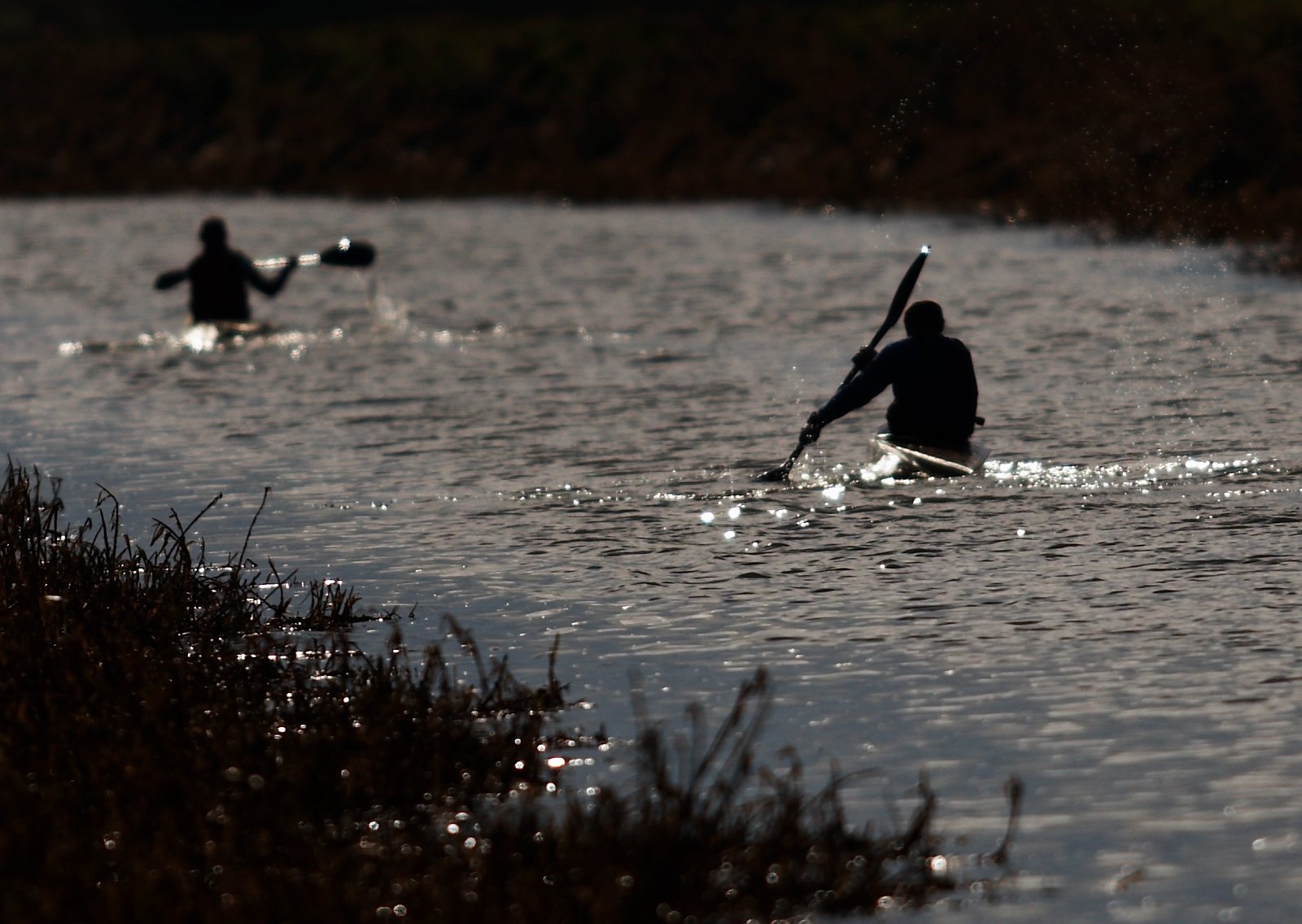 Journée Canoé + Parcours Accrobranche près de Fontainebleau - 77