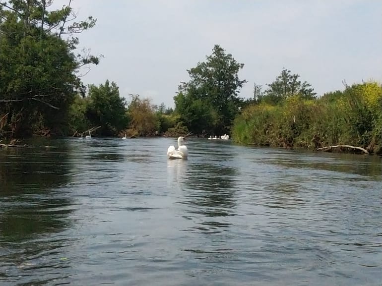 Randonnée en Kayak sur La Touque à Pont l'Evêque