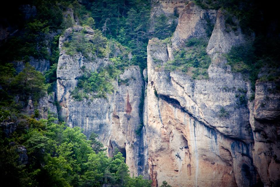 Saut à l'élastique en Lozère