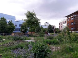 Jeu de piste participatif Paris 19 - Mouzaïa