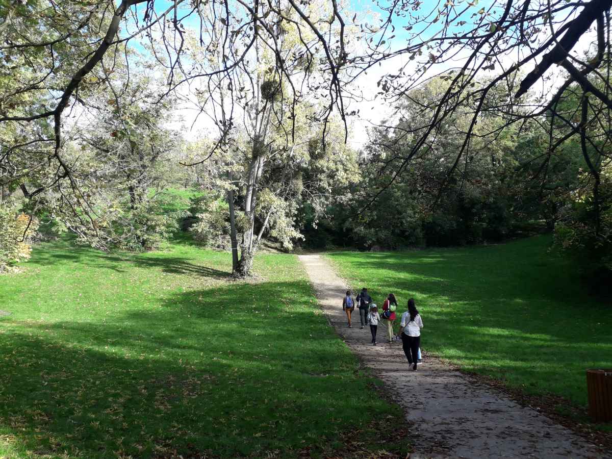 Jeu de piste à Montreuil - Au vert