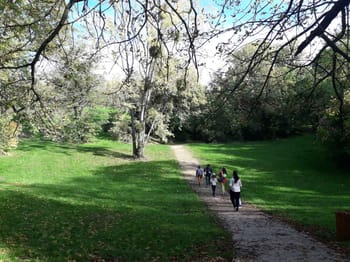 Jeu de piste à Montreuil - Au vert
