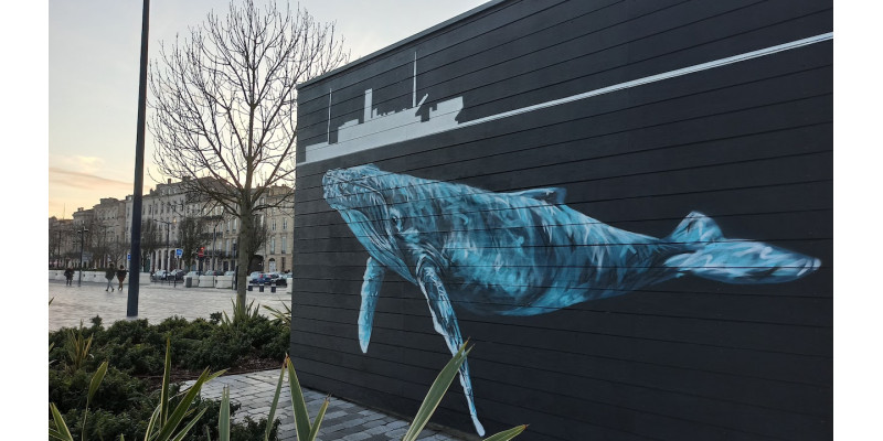 Visite Guidée des Chartrons - Bordeaux