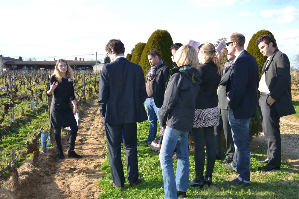 De la vigne à la bouteille à Saint-Emilion ?