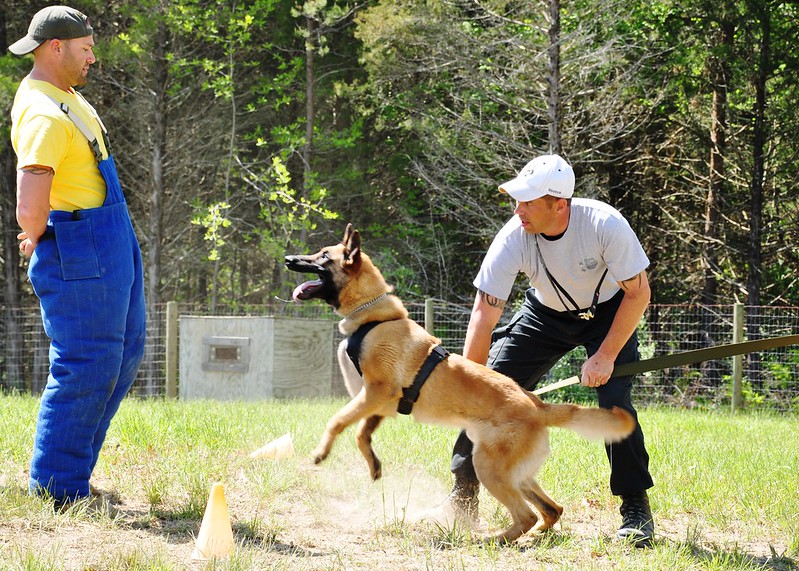 Homme vs Chien à Prague EVG - Man vs Dog