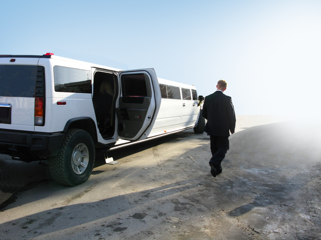 Tour en Limousine à Amsterdam