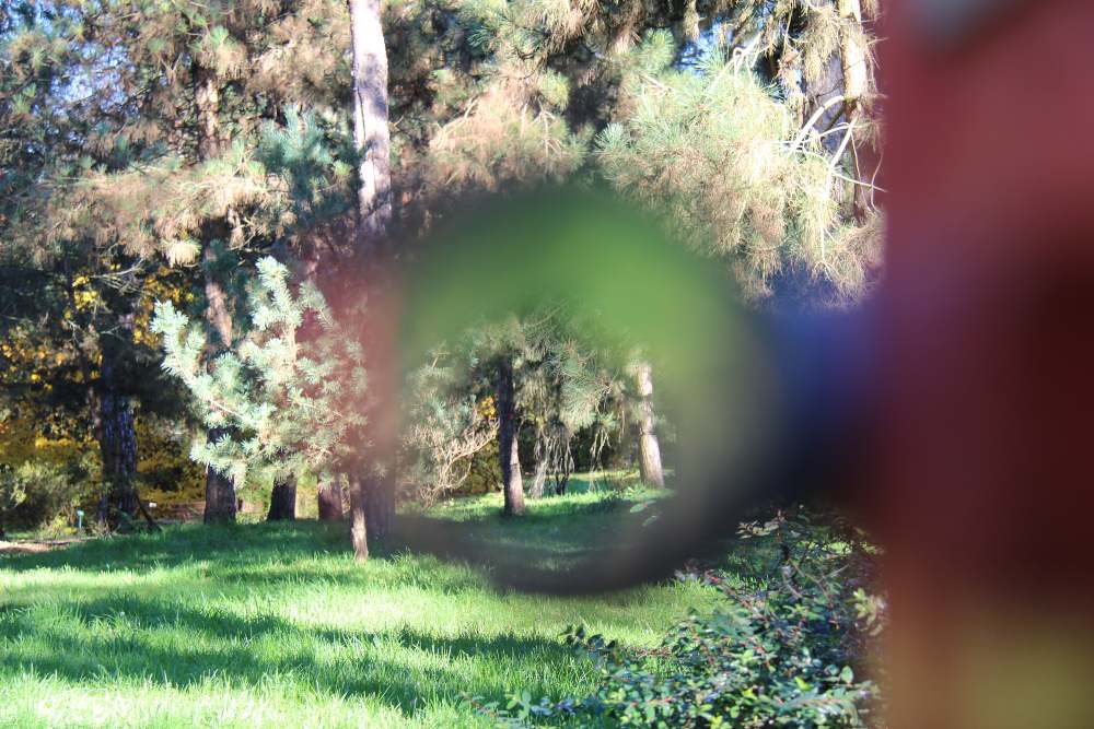 Chasse au trésor au parc Floral de Paris