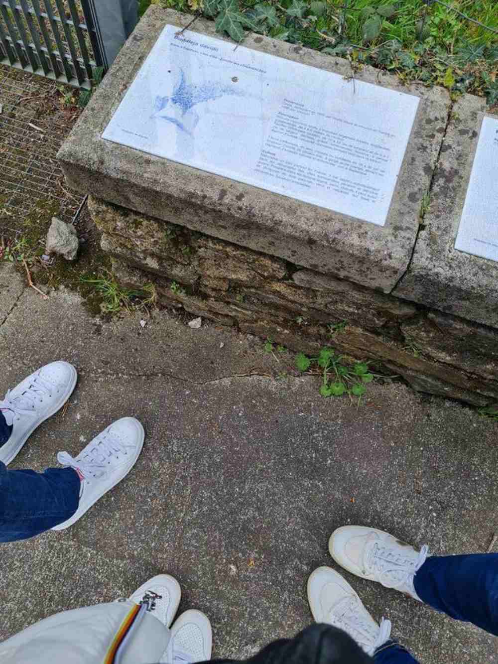 Jeu de piste à Nantes - Ile de Nantes