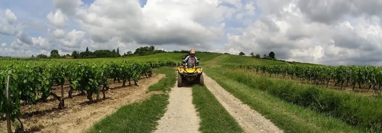 Randonnées Quad dans le vignoble en Bourguignon