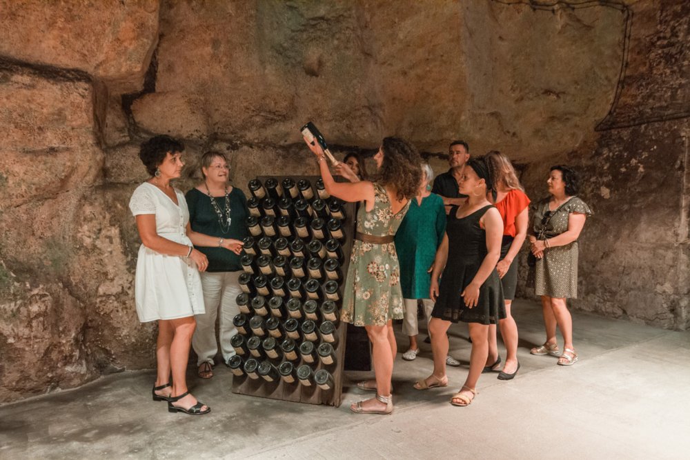 Cours Œnologie et dégustation de vins à Angers