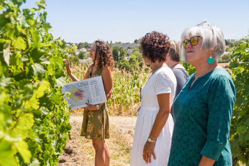 Cours Œnologie et dégustation de vins à Angers