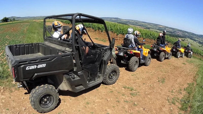 Randonnée Buggy dans le vignoble en Bourguignon