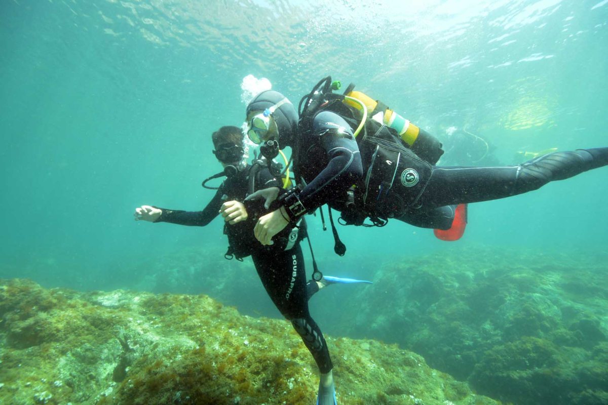 Baptême de plongée dans la réserve marine de Cerbère/Banyuls