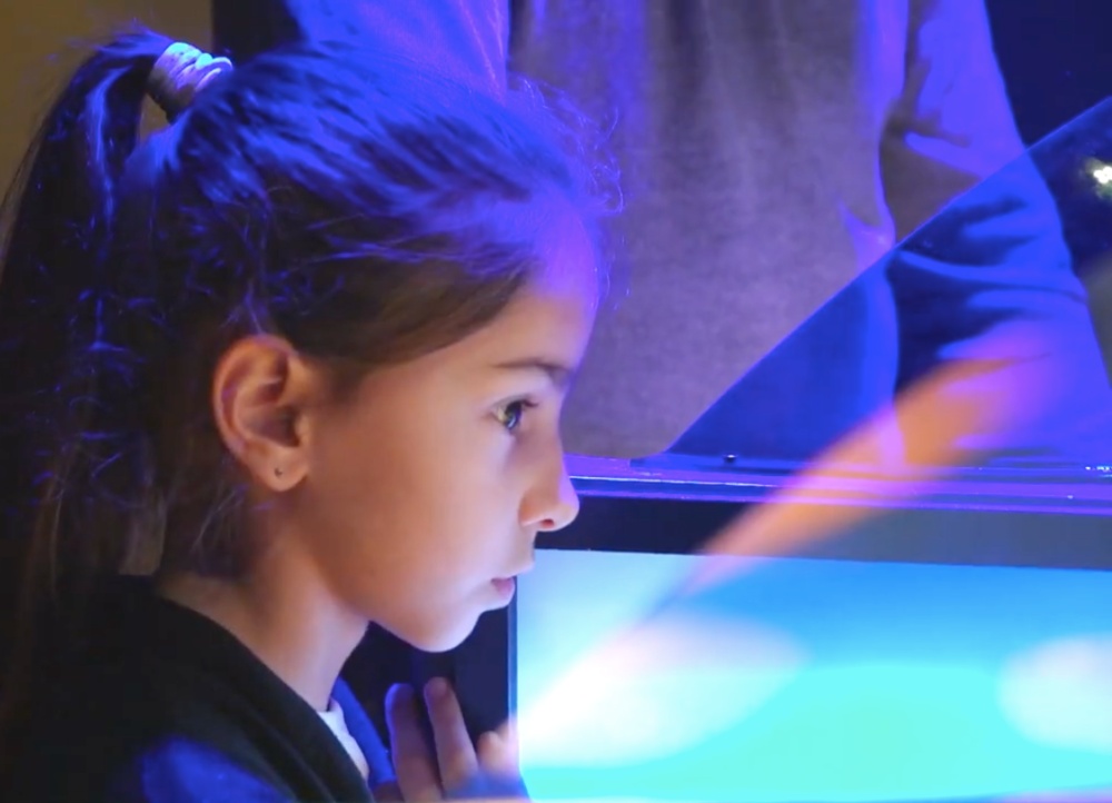 Jeu de quiz pour anniversaire enfants  à Lille