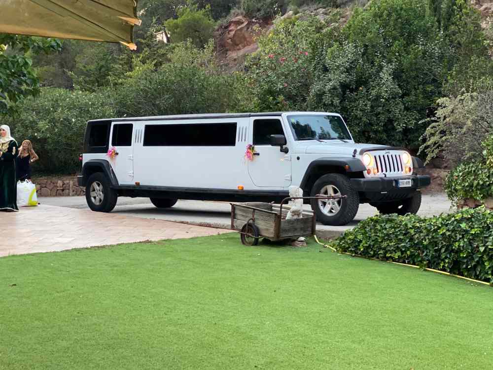 Tour en limousine à Barcelone