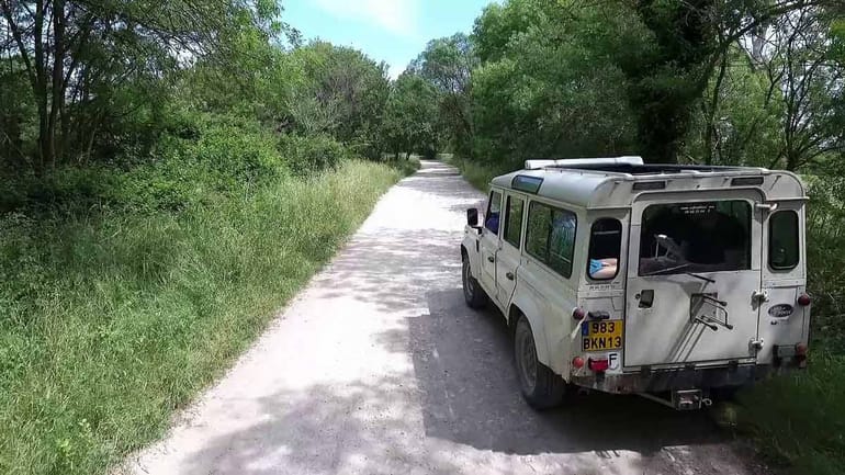 Safari en 4X4 au coeur de la Camargue à 45km d'Arles 