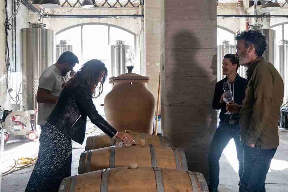 Atelier initiation à la dégustation et visite du Chai à Bordeaux