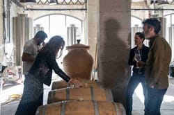 Atelier initiation à la dégustation et visite du Chai à Bordeaux
