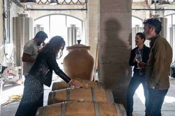 Atelier initiation à la dégustation et visite du Chai à Bordeaux