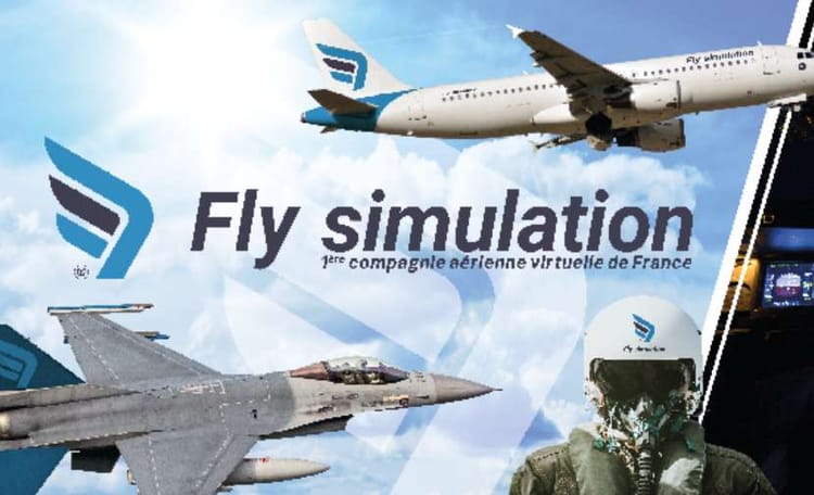 Simulation de vol d'avion à Toulouse - Teambuilding 