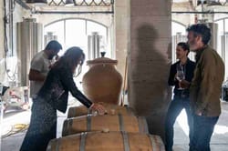 Atelier création de vin à Bordeaux