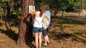 Course d'orientation éco-responsable à Bordeaux - Teambuilding