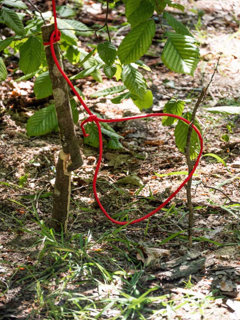 Stage de bushcraft aux alentours de Rennes