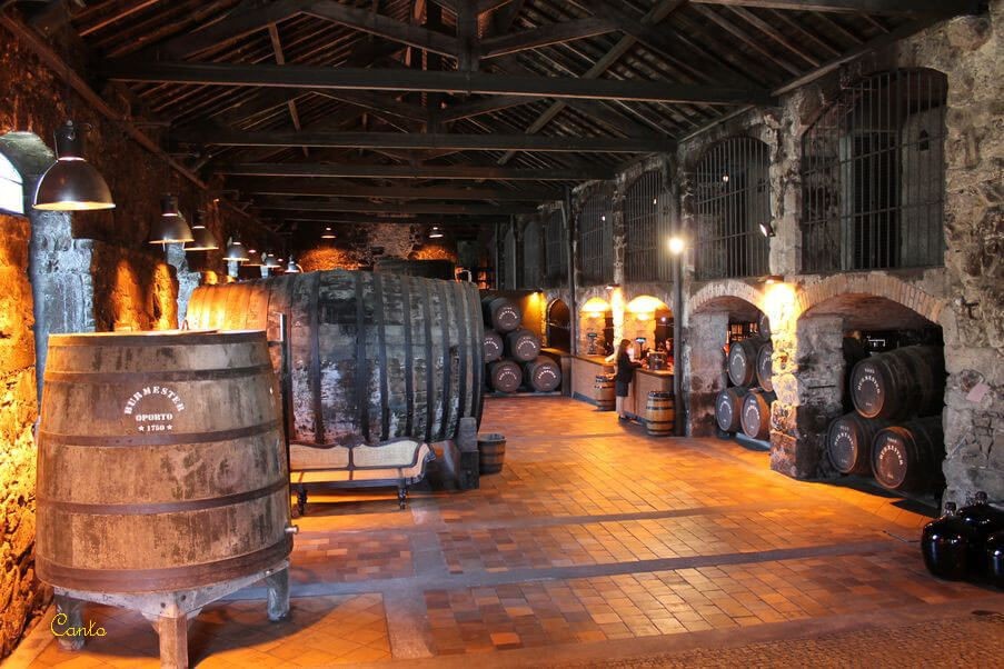 Food Tour en vélo à Porto - Vins et Gastronomie