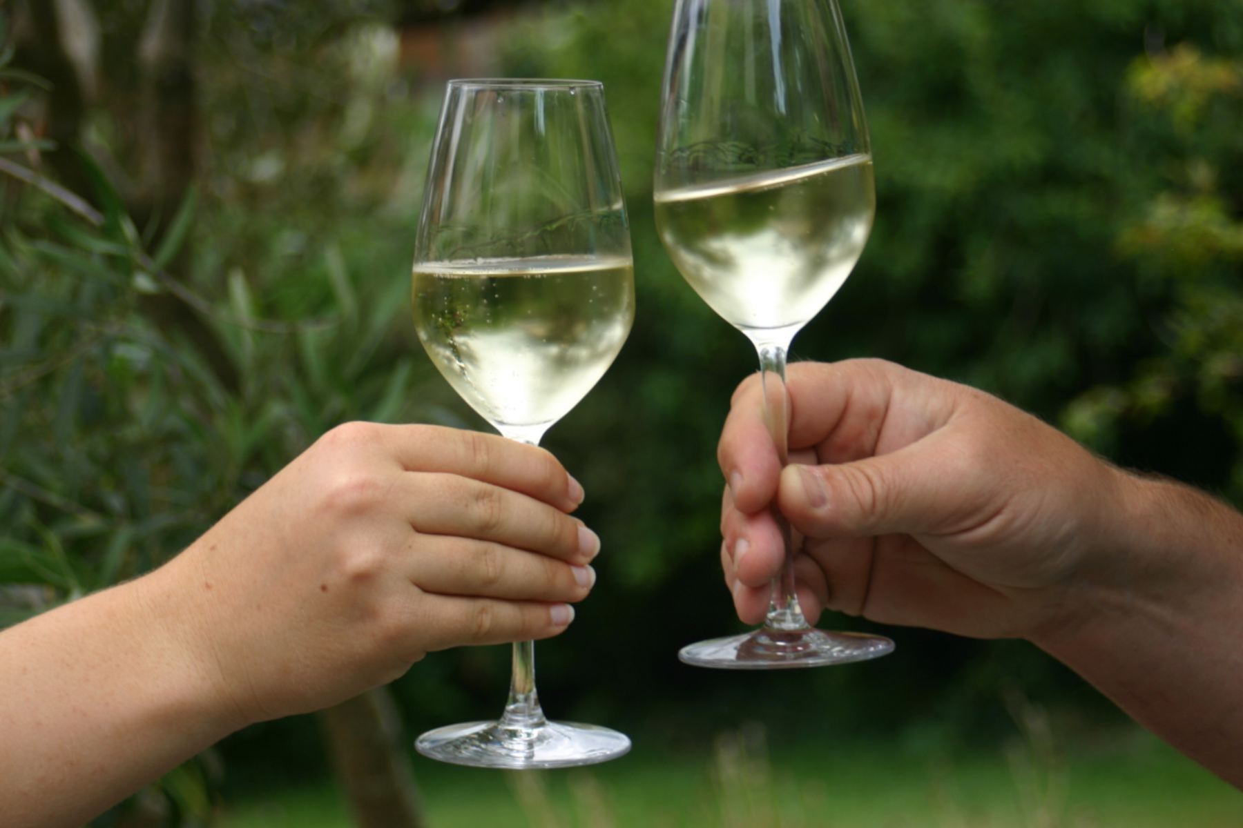 Dégustation de whiskys à Vannes