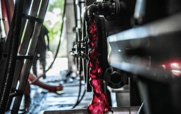 Atelier dégustation de vin à Montpellier