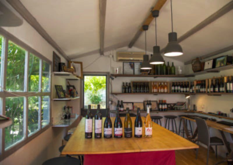 Atelier dégustation de vin à Montpellier 