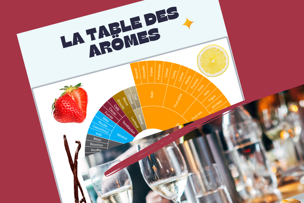 Initiation et dégustation de vin sur Nantes et sa région