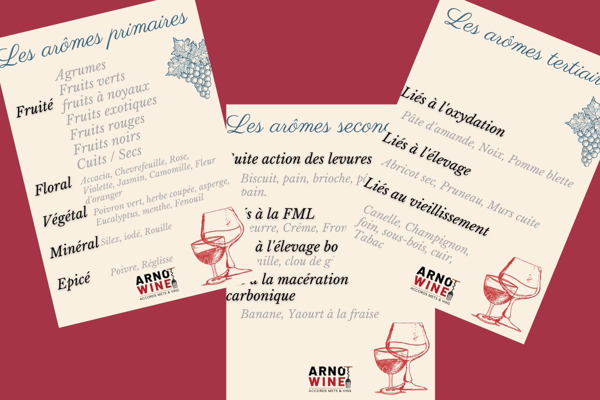 Initiation et dégustation de vin sur Nantes et sa région