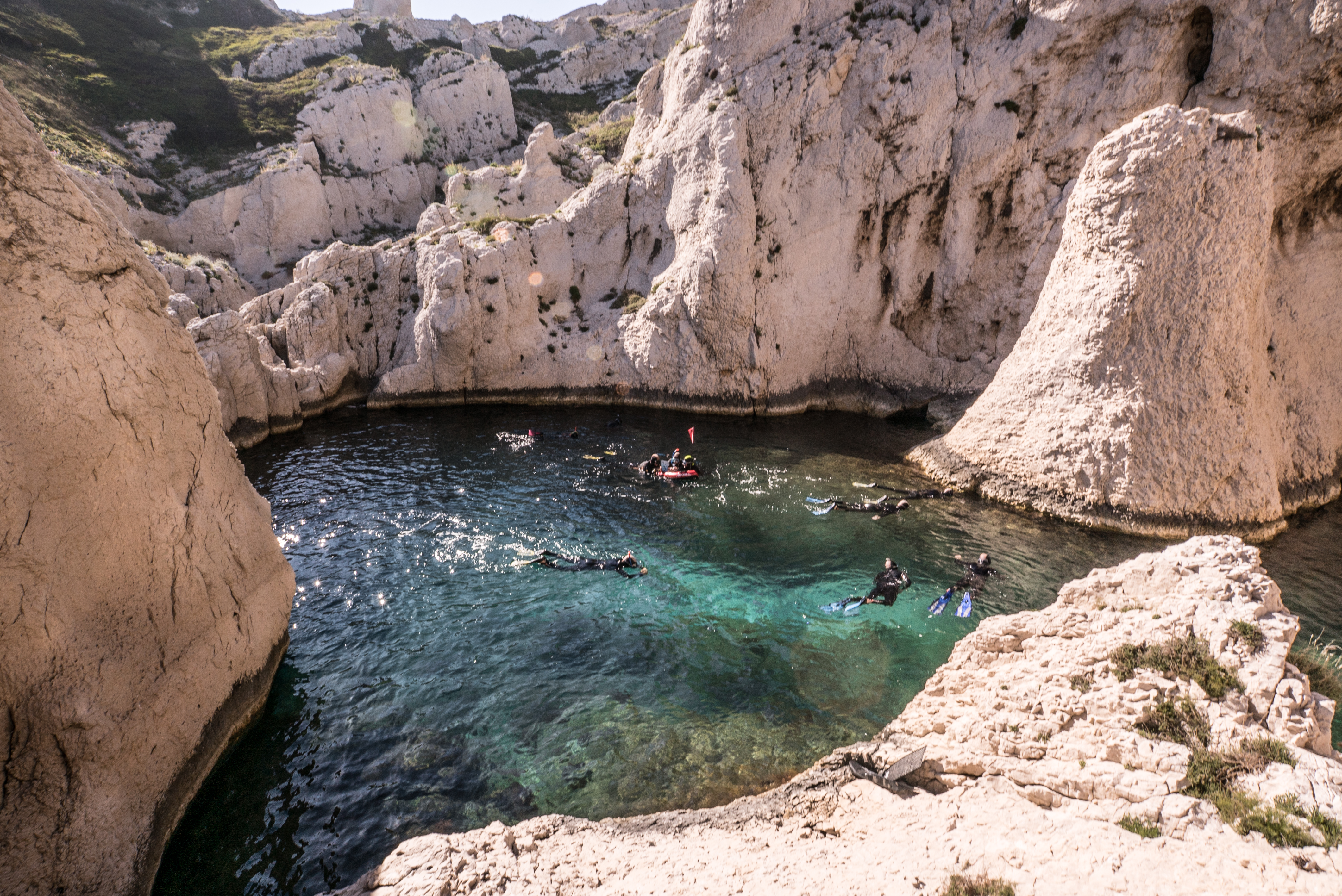 Randonnée palmée à Marseille, découverte des fonds marins - Team Building