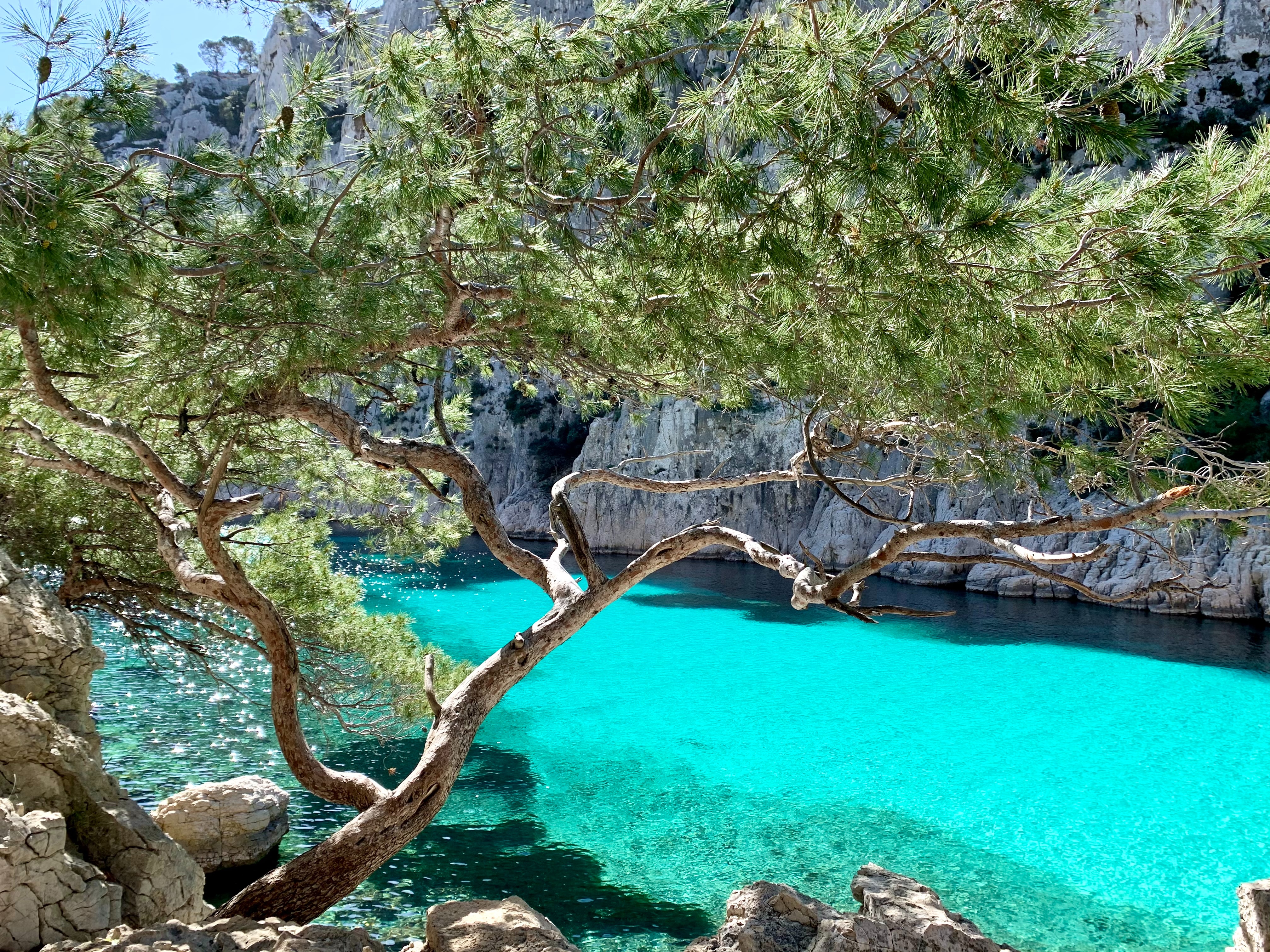 Location bateau avec skipper dans les calanques de Marseille et les îles du Frioul