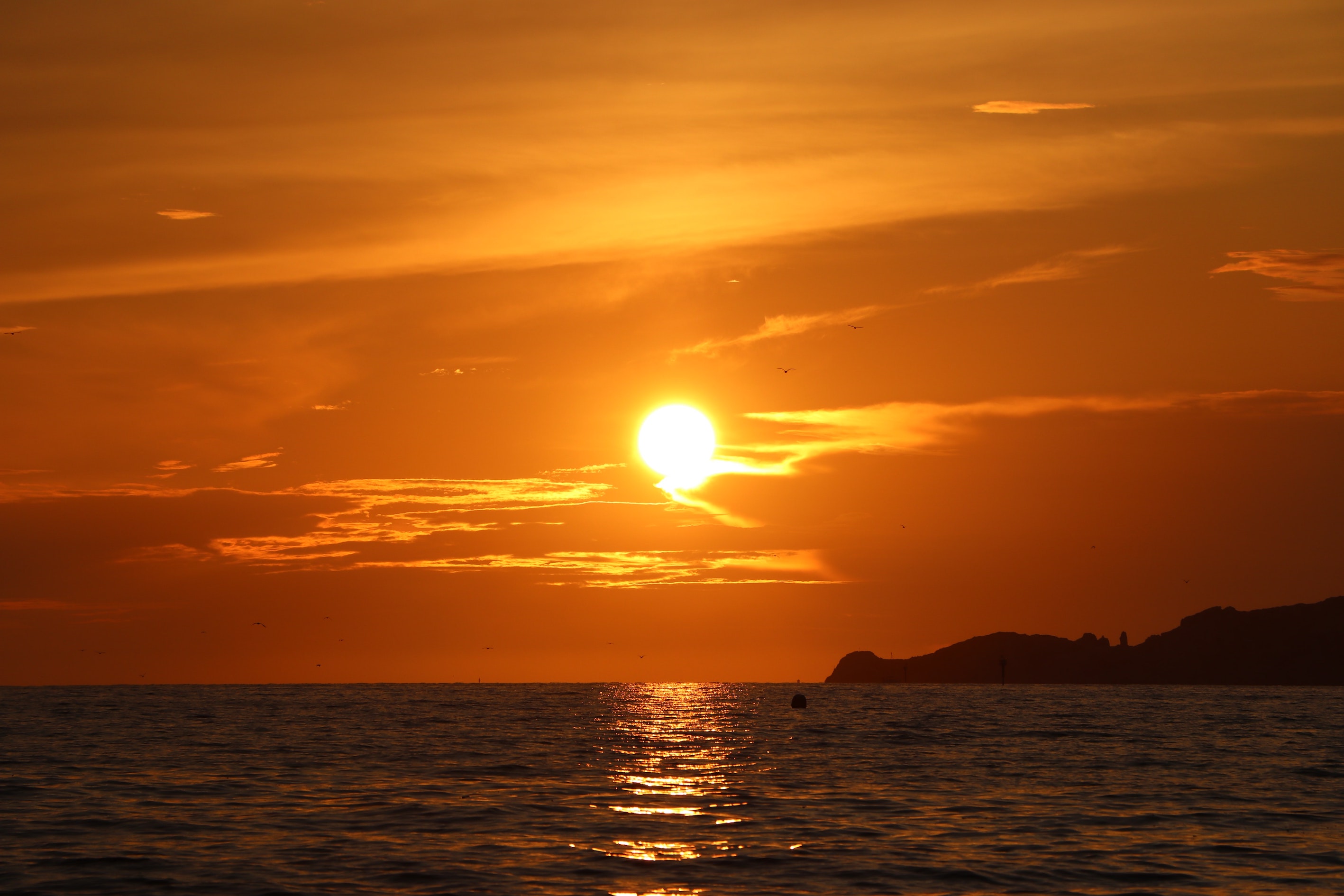 Location bateau avec skipper dans les calanques de Marseille et les îles du Frioul