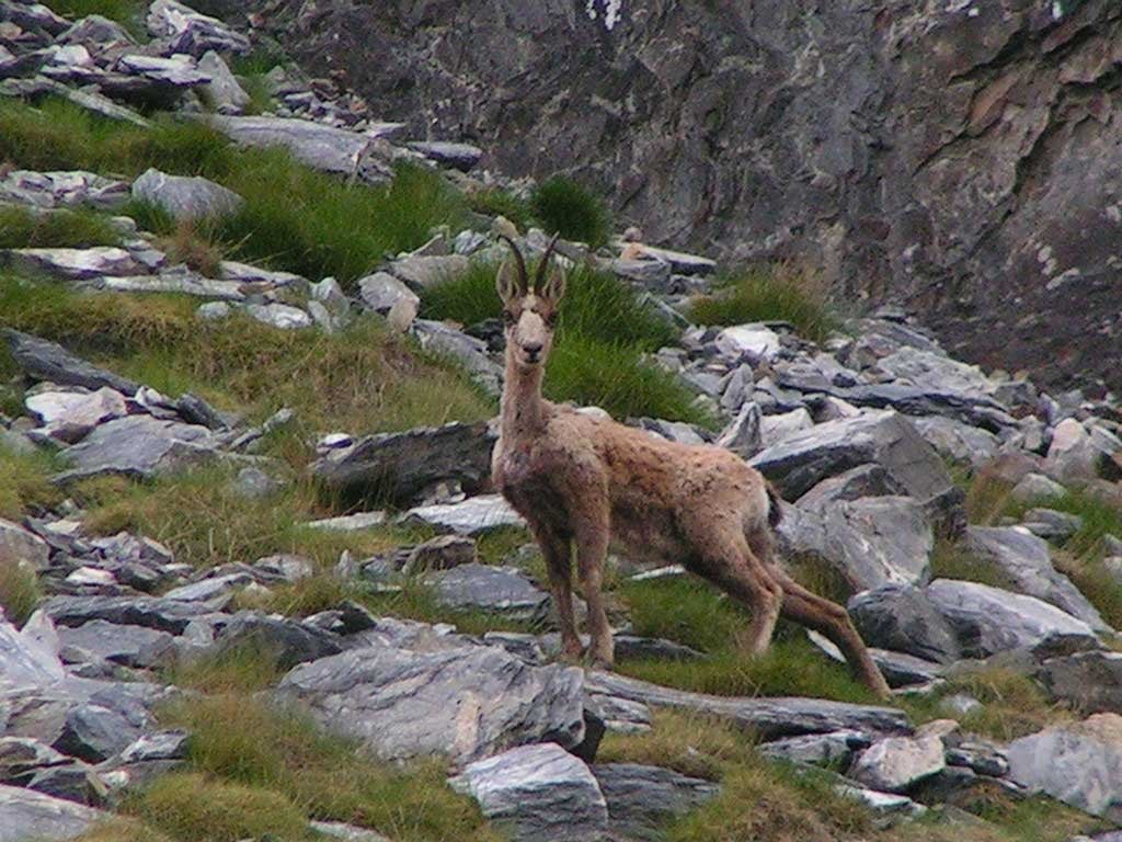 Randonnée dans le Parc national des Pyrénées