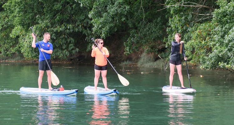 Location de Paddle dans le Golfe du Morbihan près de Vannes