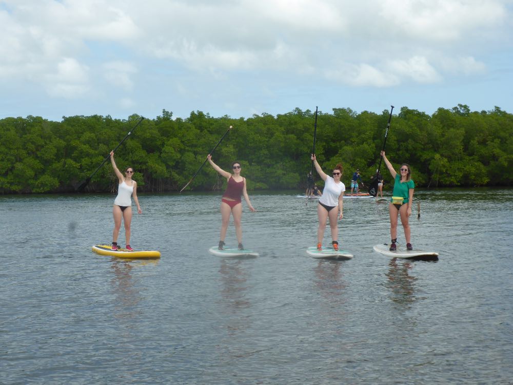 Excursion en stand up paddle mangrove et lagon à plage Babin