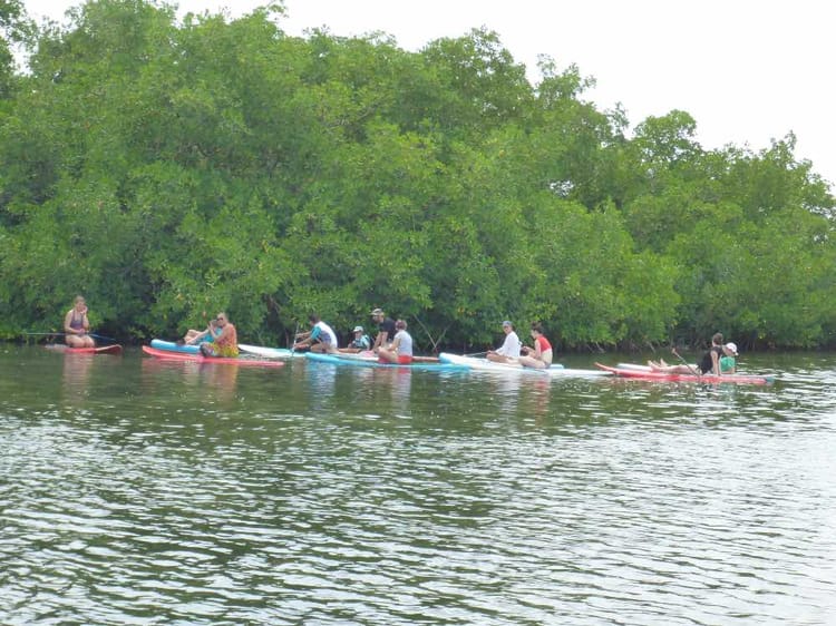 Excursion en stand up paddle mangrove et lagon à plage Babin