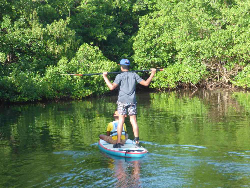 Excursion en stand up paddle mangrove et lagon à plage Babin
