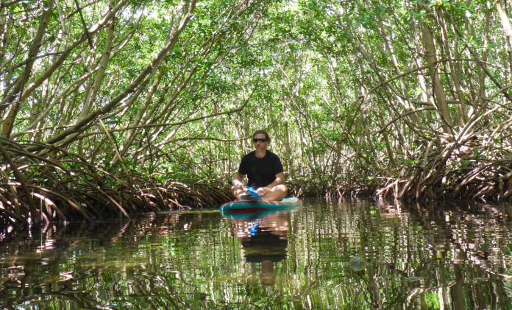 Excursion en stand up paddle mangrove et lagon à plage Babin