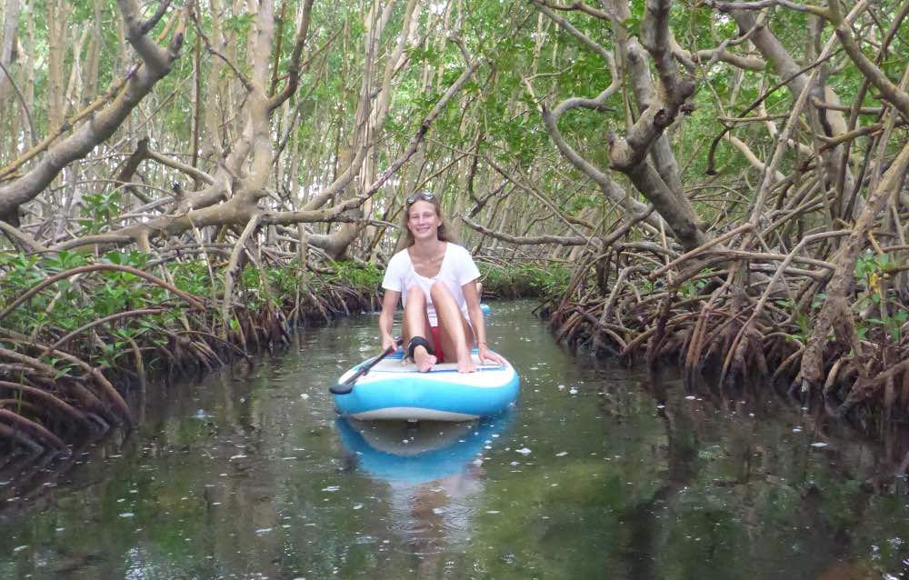 Excursion en stand up paddle mangrove et lagon à plage Babin
