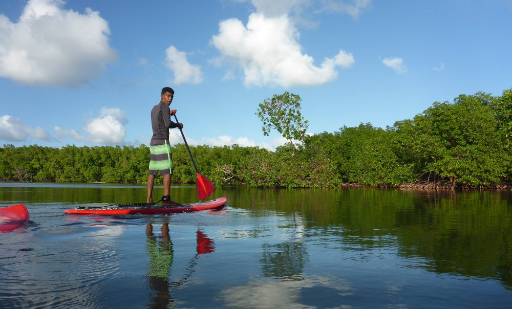 Excursion en stand up paddle mangrove et lagon à plage Babin